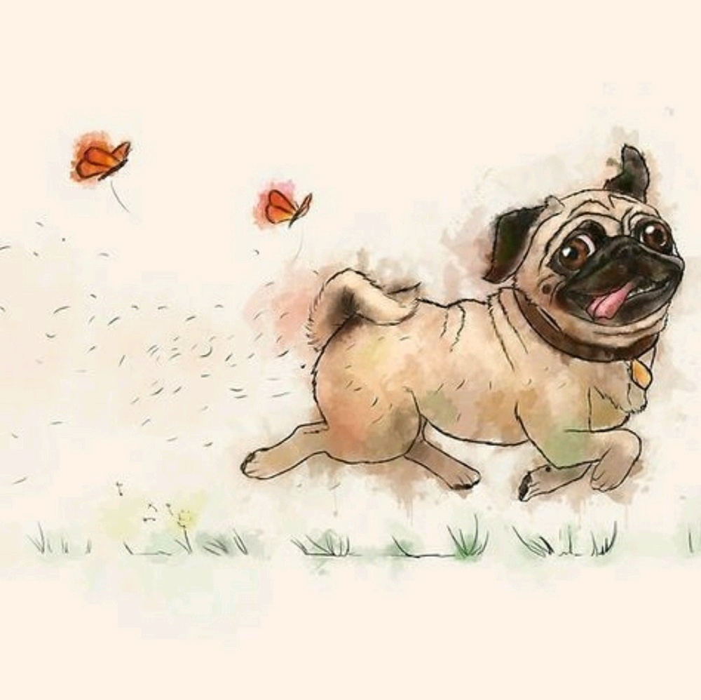 Meet your Posher, Tobi